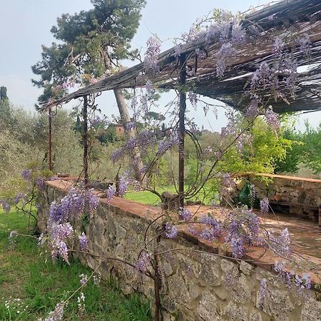 Casa Ezio Marchi Bed & Breakfast เบตตอลเล ภายนอก รูปภาพ