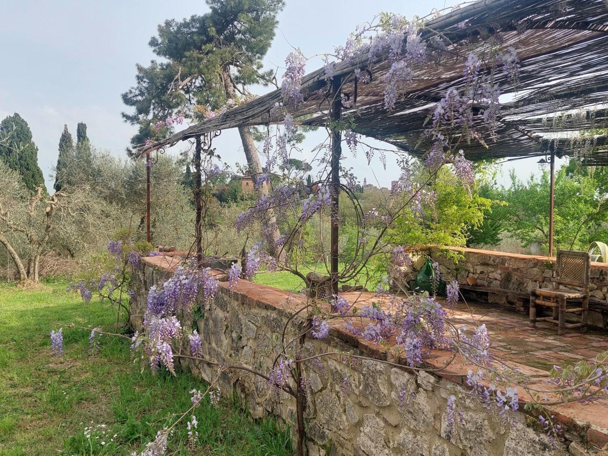 Casa Ezio Marchi Bed & Breakfast เบตตอลเล ภายนอก รูปภาพ