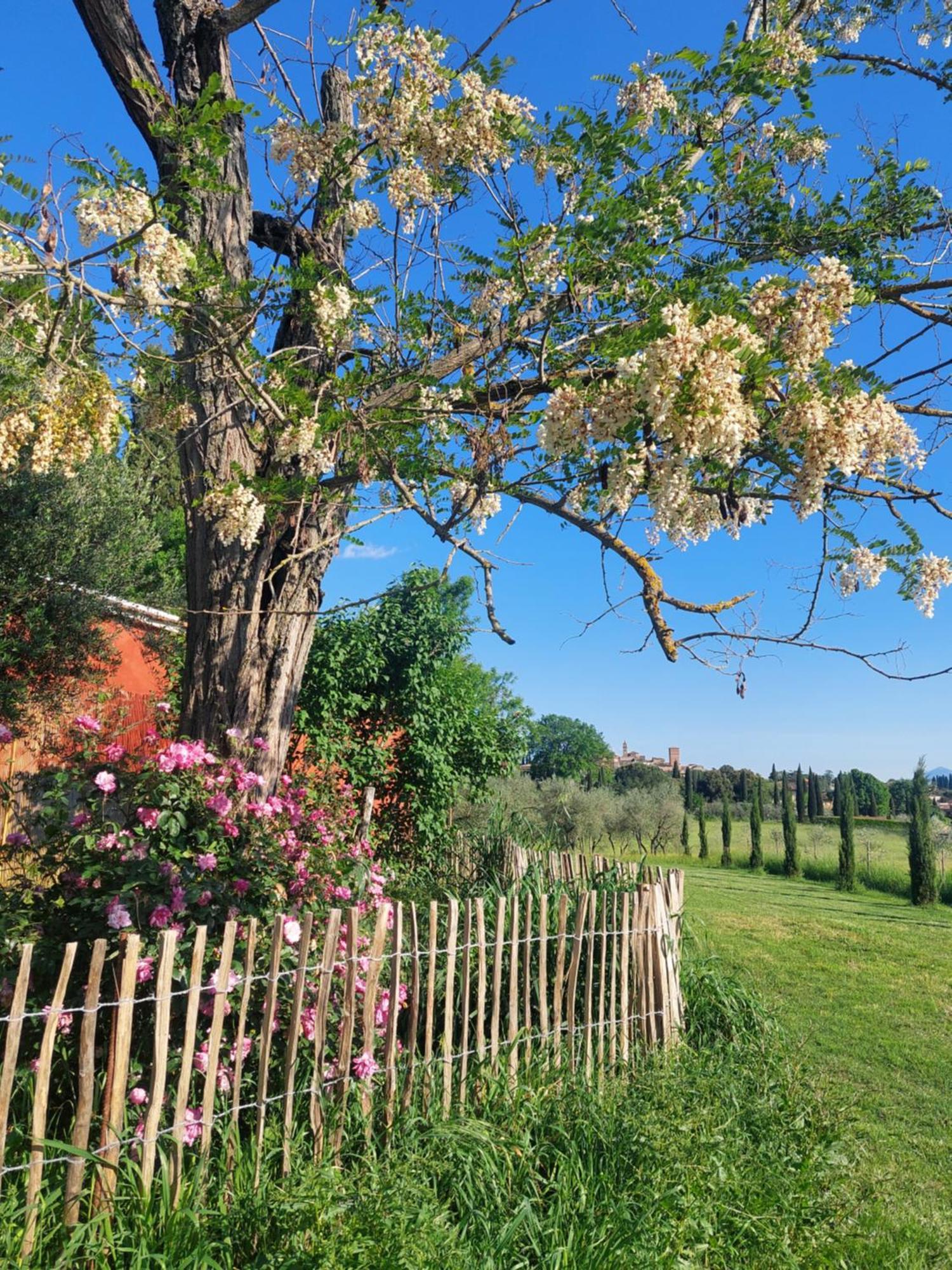 Casa Ezio Marchi Bed & Breakfast เบตตอลเล ภายนอก รูปภาพ