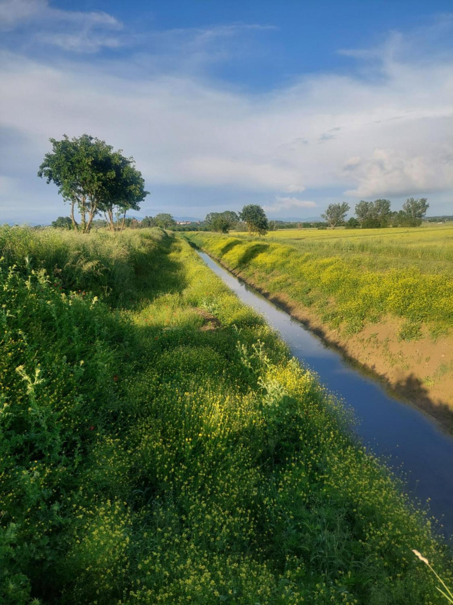 Casa Ezio Marchi Bed & Breakfast เบตตอลเล ภายนอก รูปภาพ
